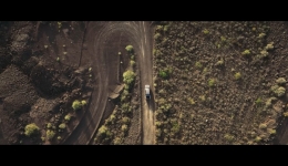 Dal-still-3 Dal-still-3