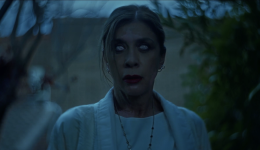 STILL-4-LCDLM STILL-4-LCDLM